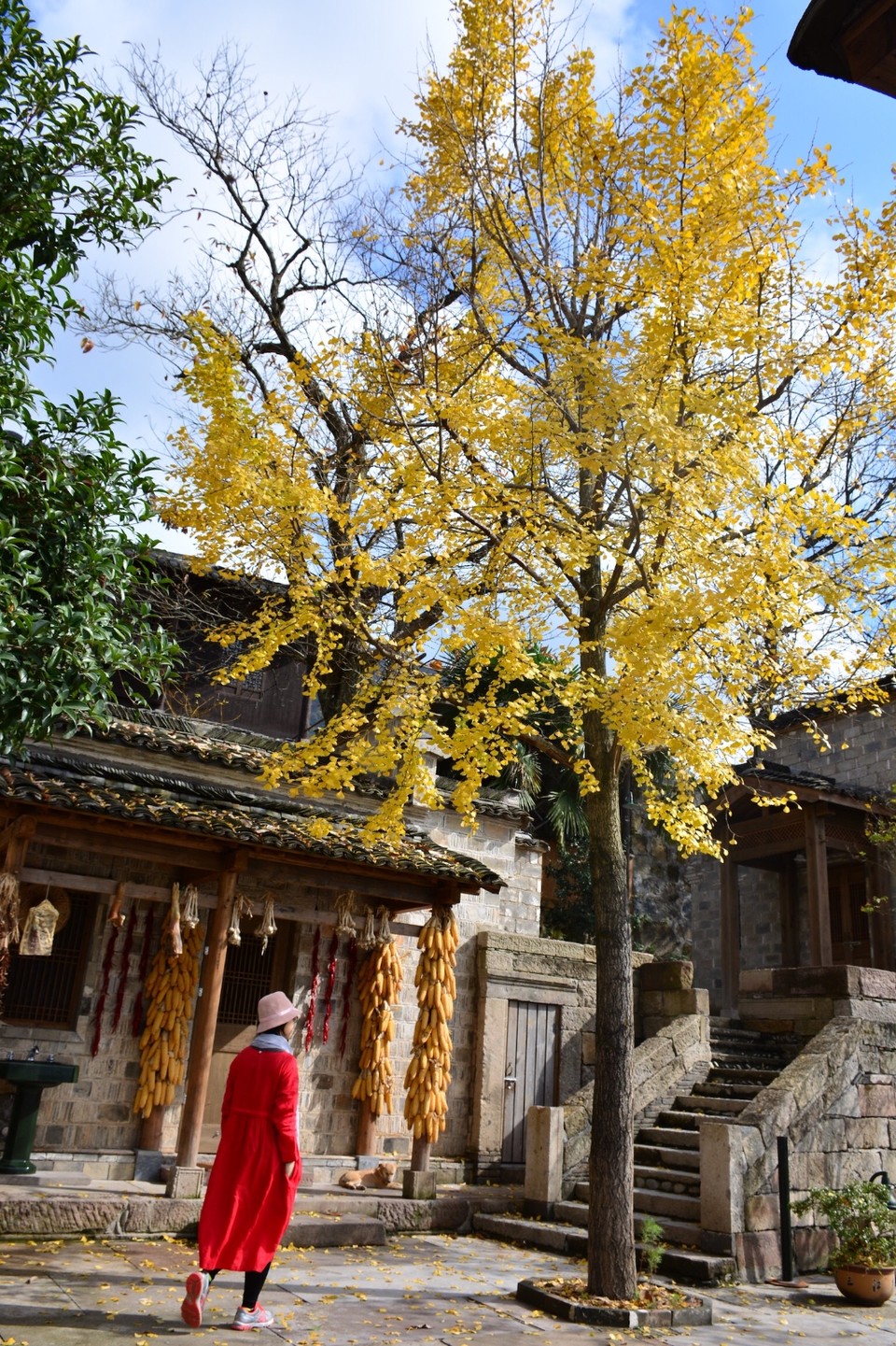 A46D6B83-9008-47ED-A380-F6B68F10DFDD