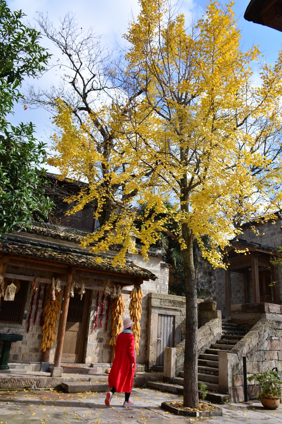 8B8B74F2-CB78-4CF4-ACC2-214E39D56A84