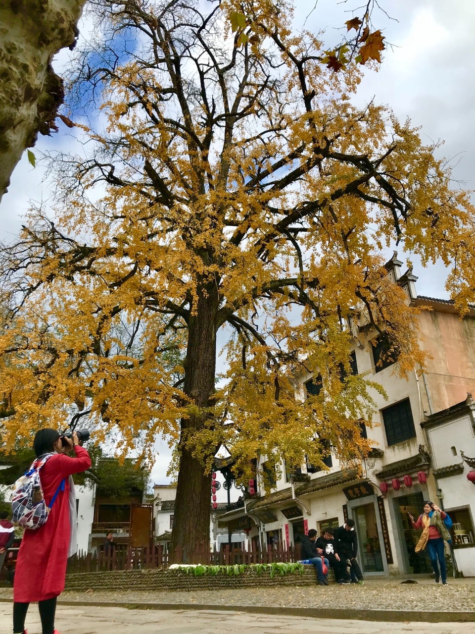 A03ED3EA-BC6E-4F61-8B90-3C57A7C81DC2