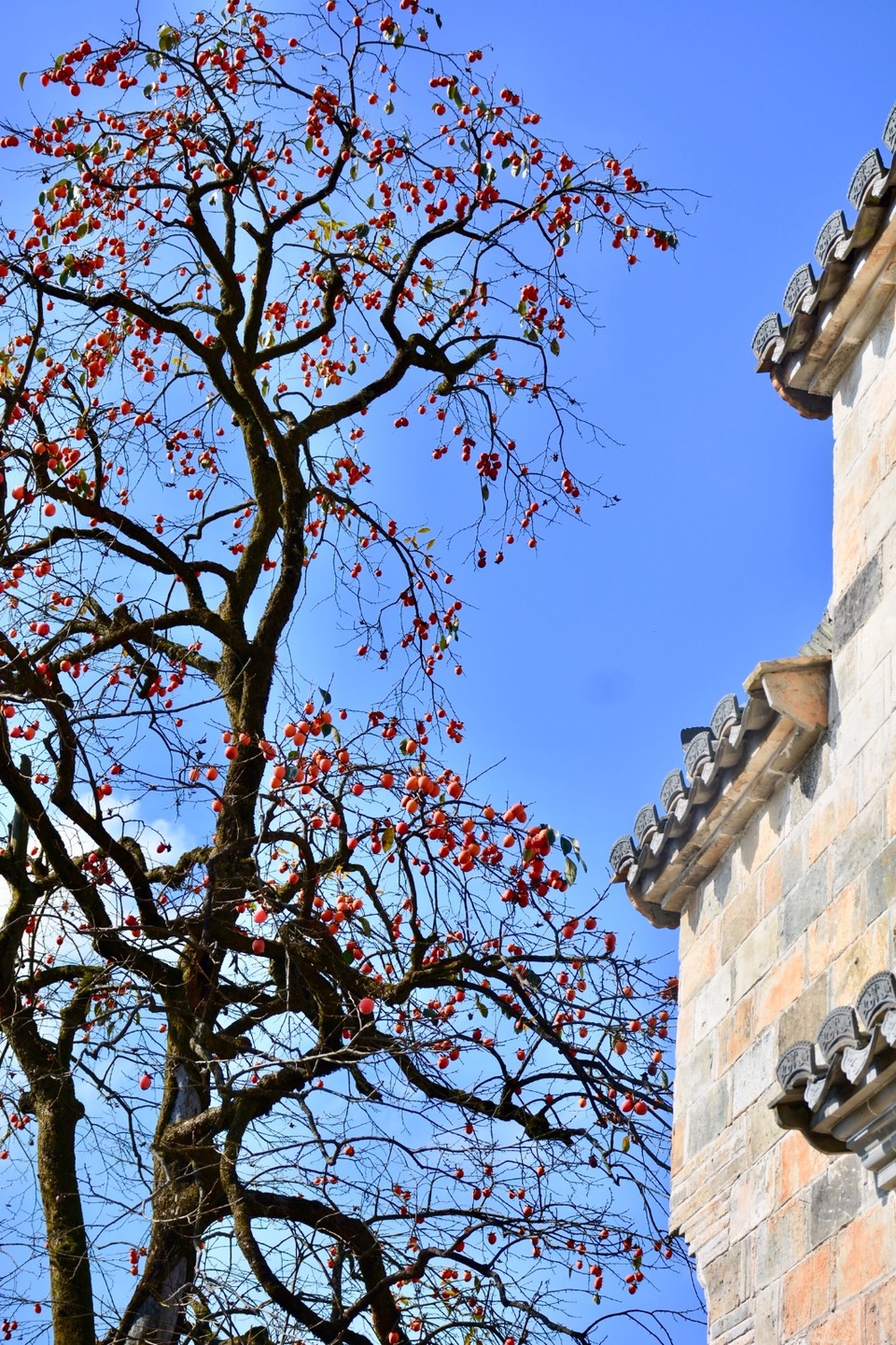 1D72ED61-8881-41CA-8F22-ED762330BE69