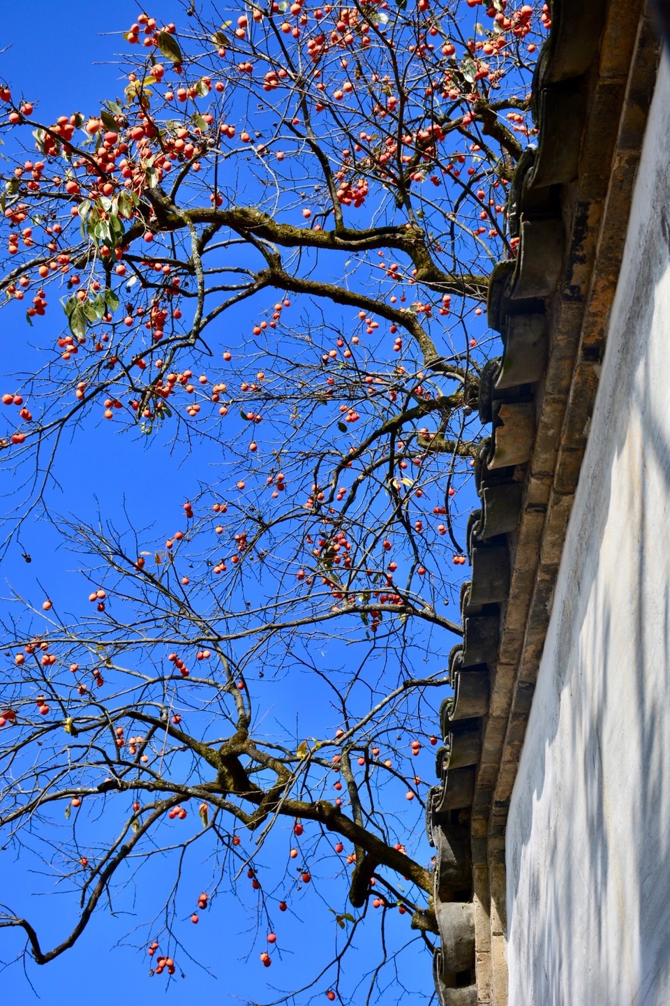 2A74B2C9-3BE9-43CC-9FE3-2136540BEB47