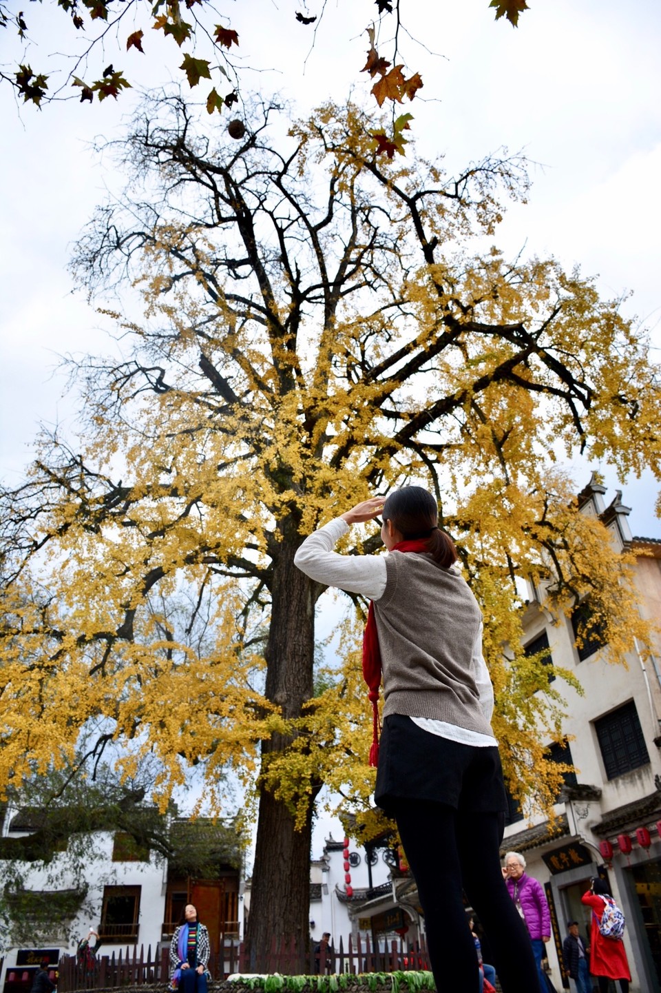 38D54551-95FD-40CA-8B37-B0A13716E60F