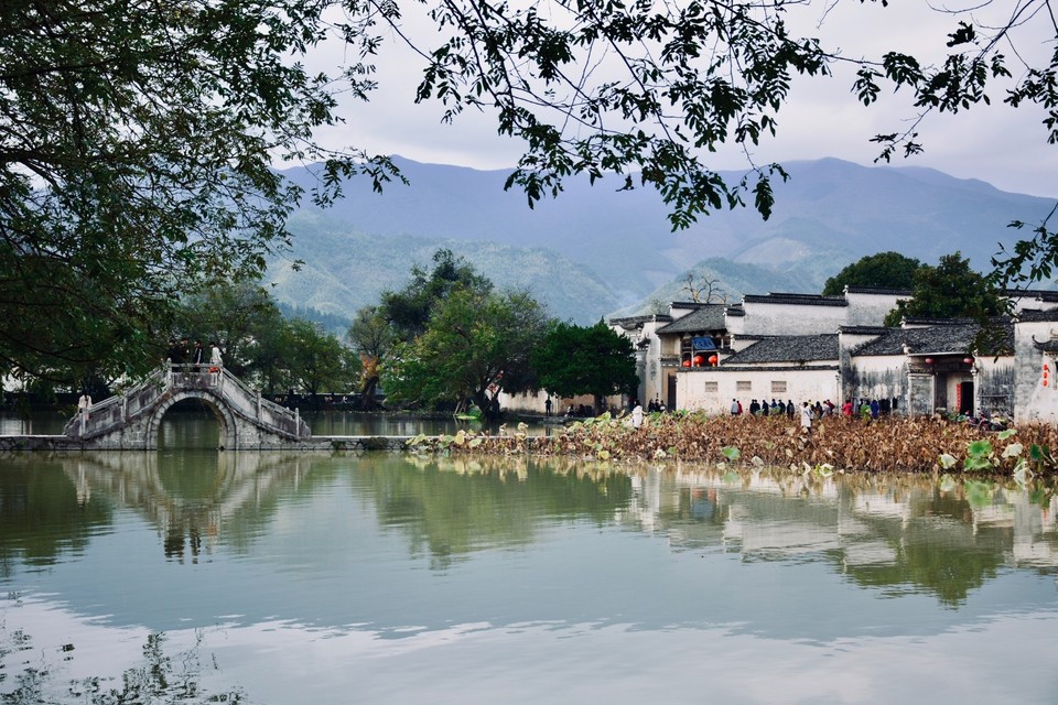 DCA6B891-354A-4CA4-ABEA-A814F7842561