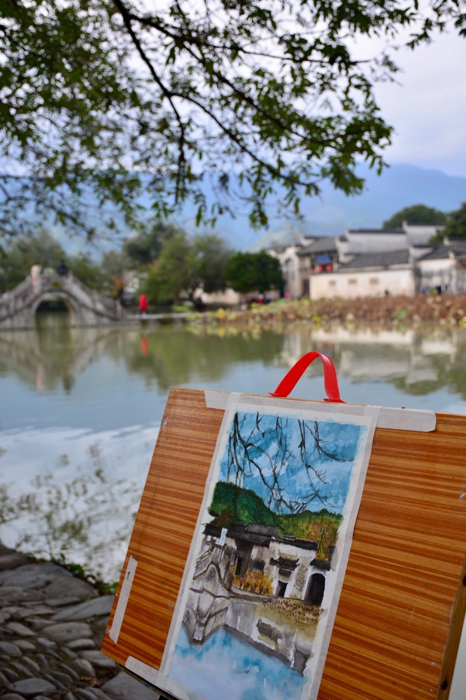 393E2154-4B03-49F6-9A06-712C59989A9F