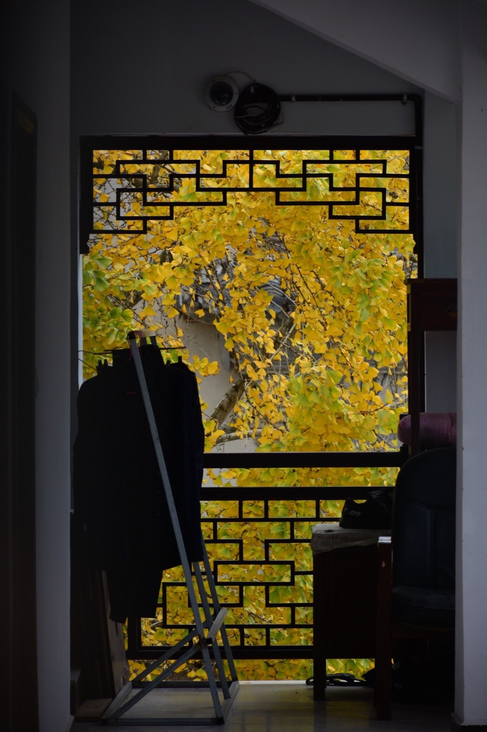 83A3507D-16EC-4D9F-8539-450D4B4A2B91