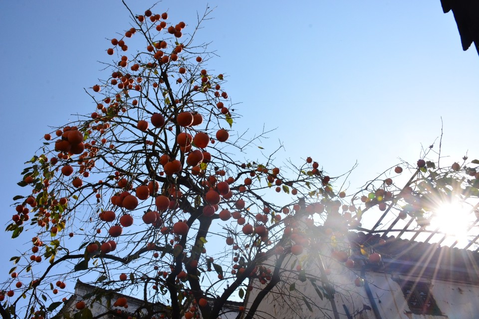 9D2DFDF8-9D25-4134-B872-F3DEDAEB3A50