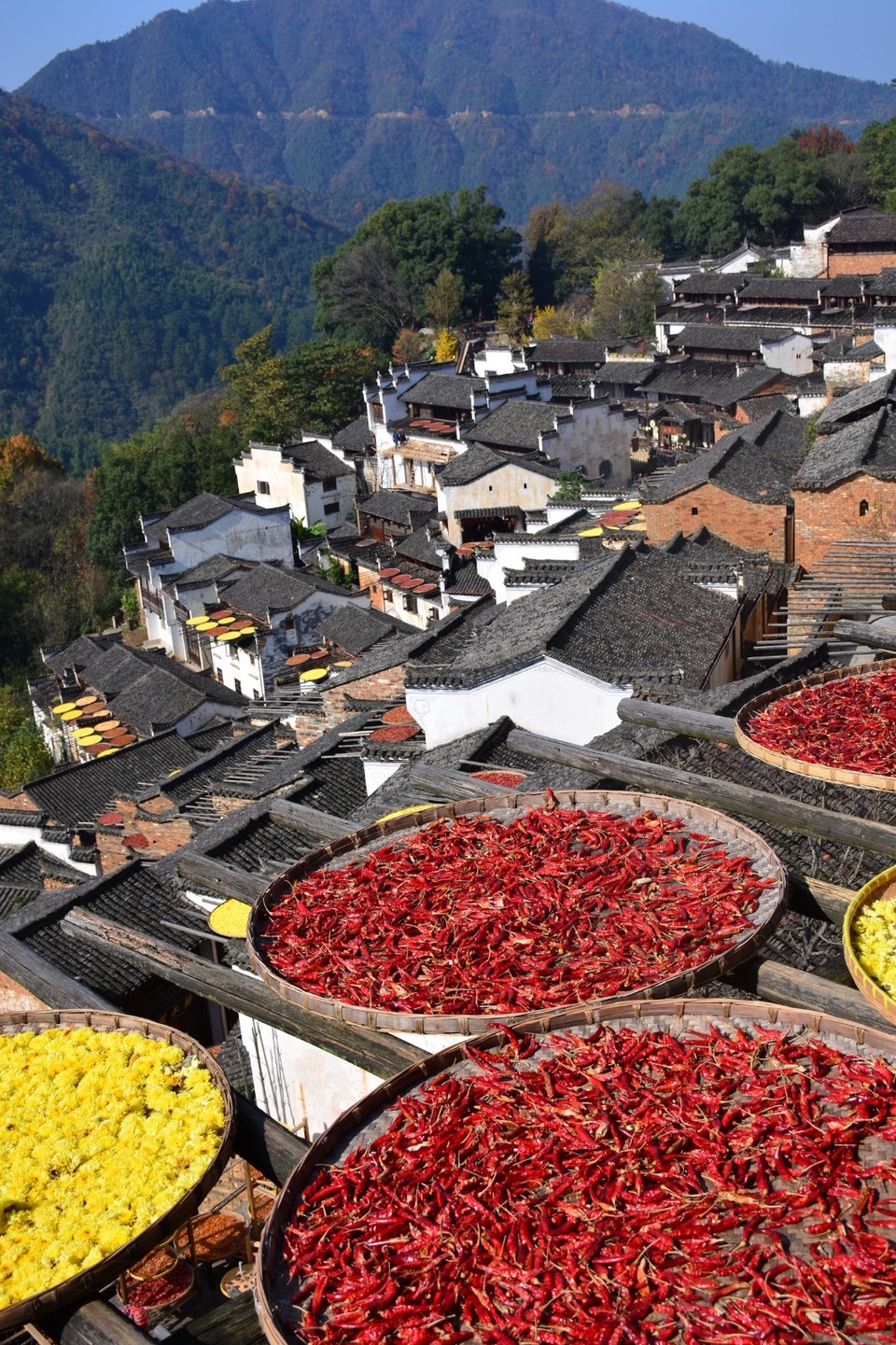 3C5F90CA-E0ED-4FBA-B8D3-1E1291925122