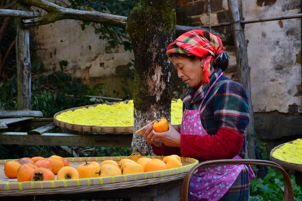 95F9B0E0-4B92-4641-83E3-F6CA6409041E