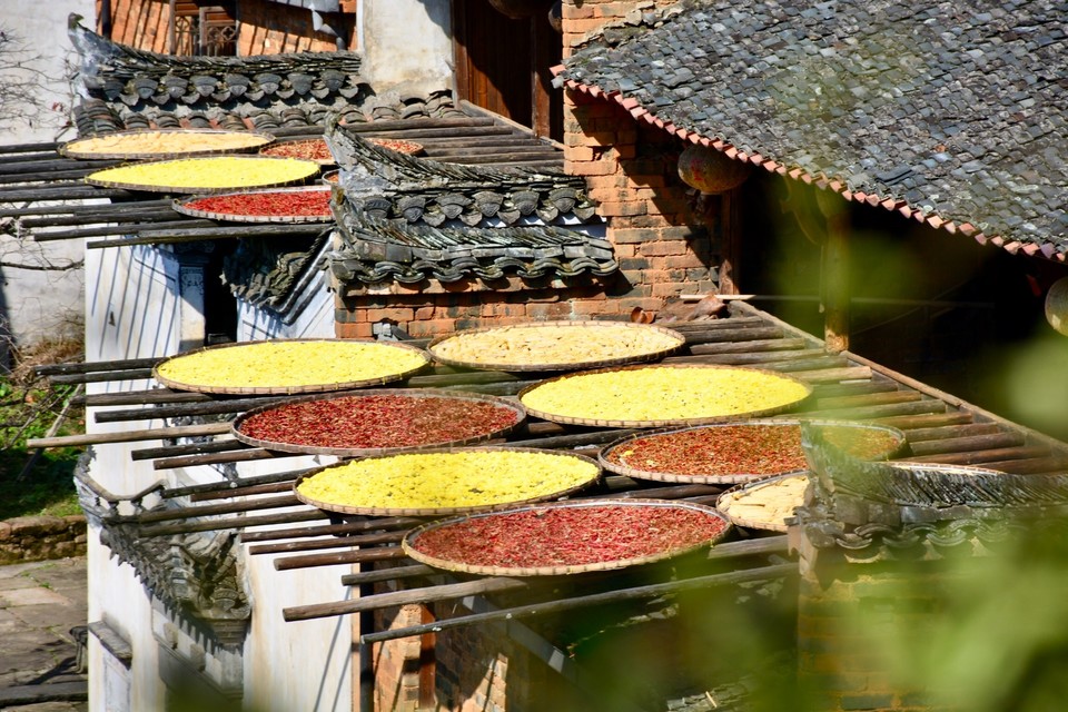 13B35071-BD81-488C-B94A-69178ADA0125