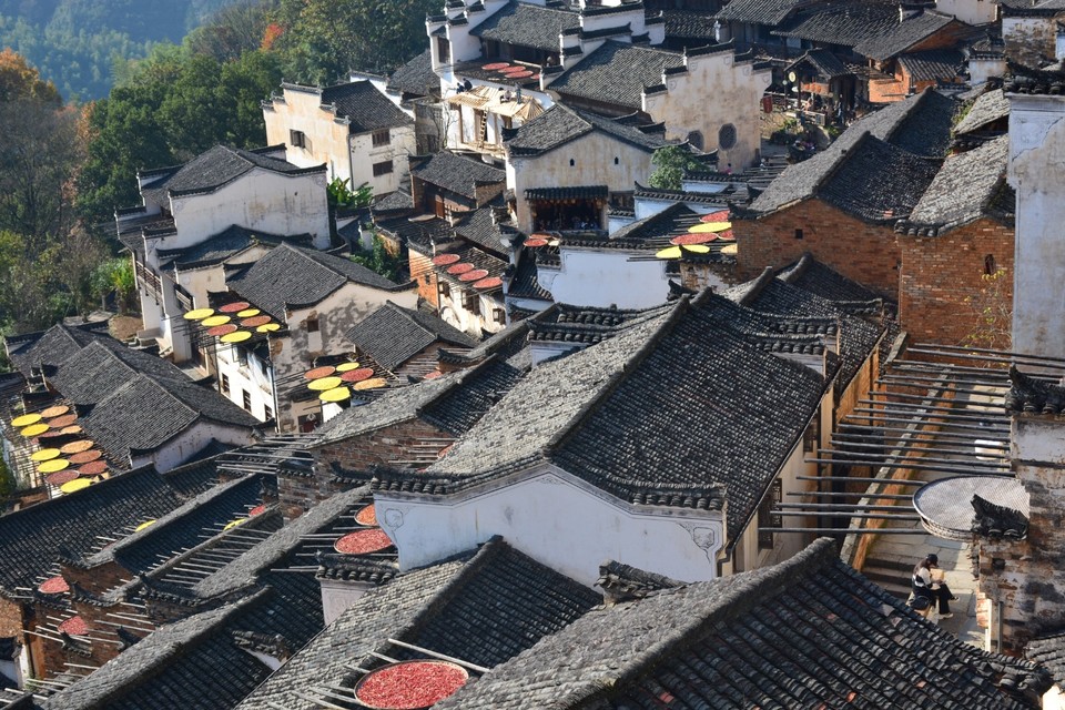 E1A2C748-E603-44EE-BC9C-0A2D676F8E2C