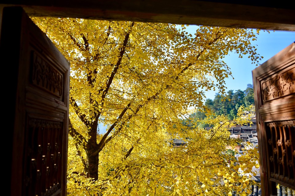 35D676D9-C93D-41ED-AA90-46CEDE566CF6