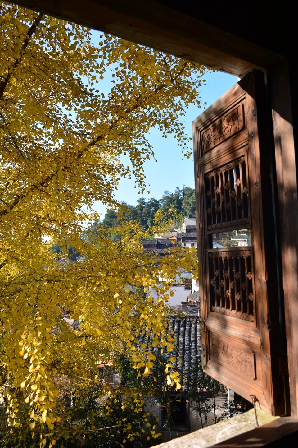 32A80D3C-CED5-40E5-9127-4C07B1D977E7