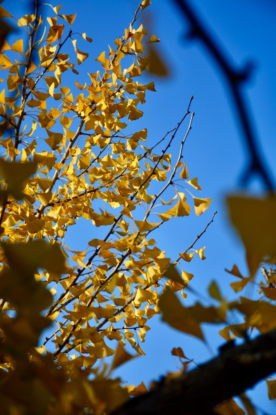 AD17B9F8-D430-4C21-8888-6AA92D847388