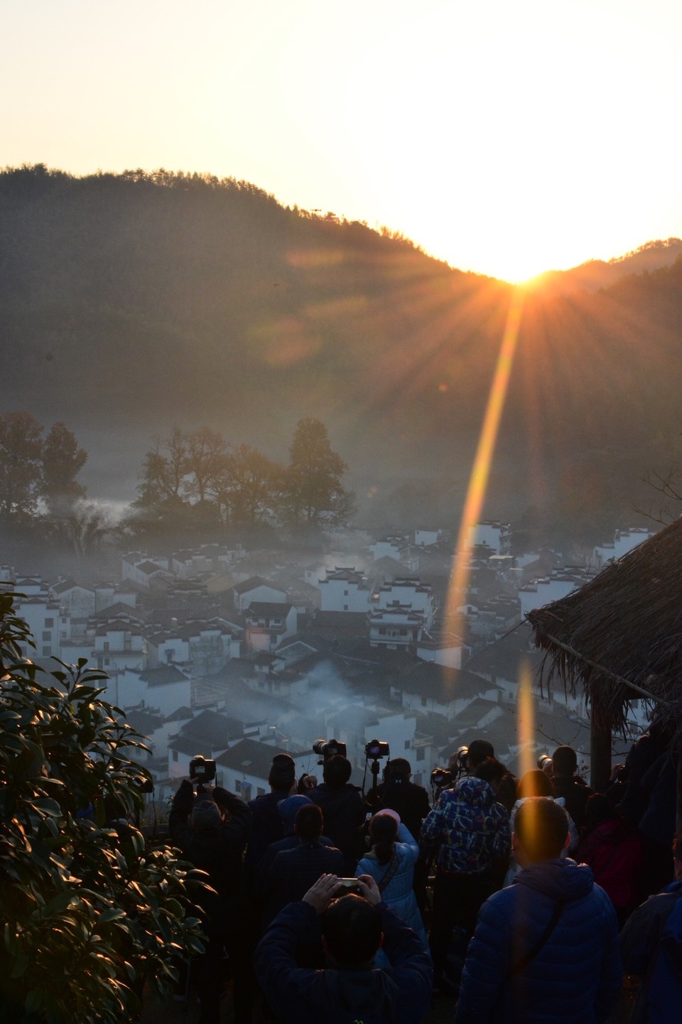 20E28ACA-67FC-493E-8B98-1A3E0E8DC3C0