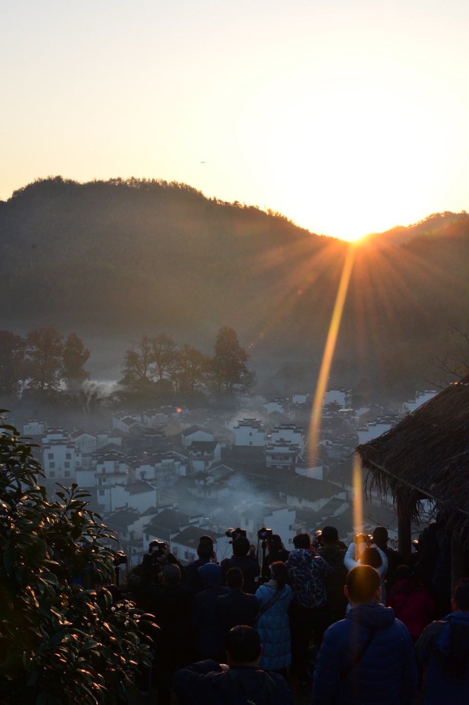 EEC3D766-E4EC-4FA1-AAD5-5932A9370B0C