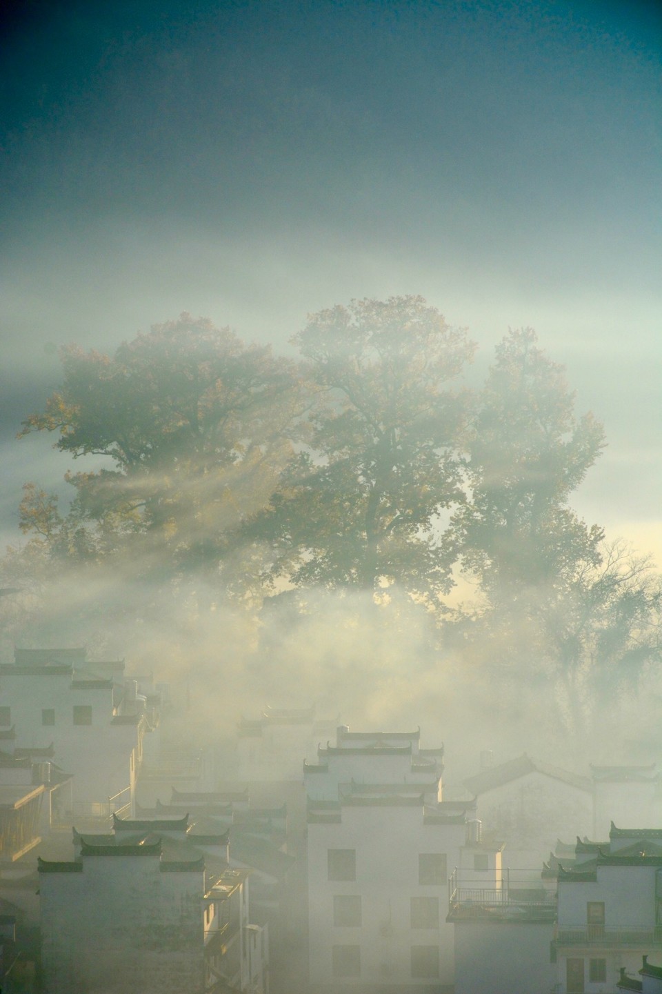 755587B9-867C-43D1-A853-520E239D7FC4