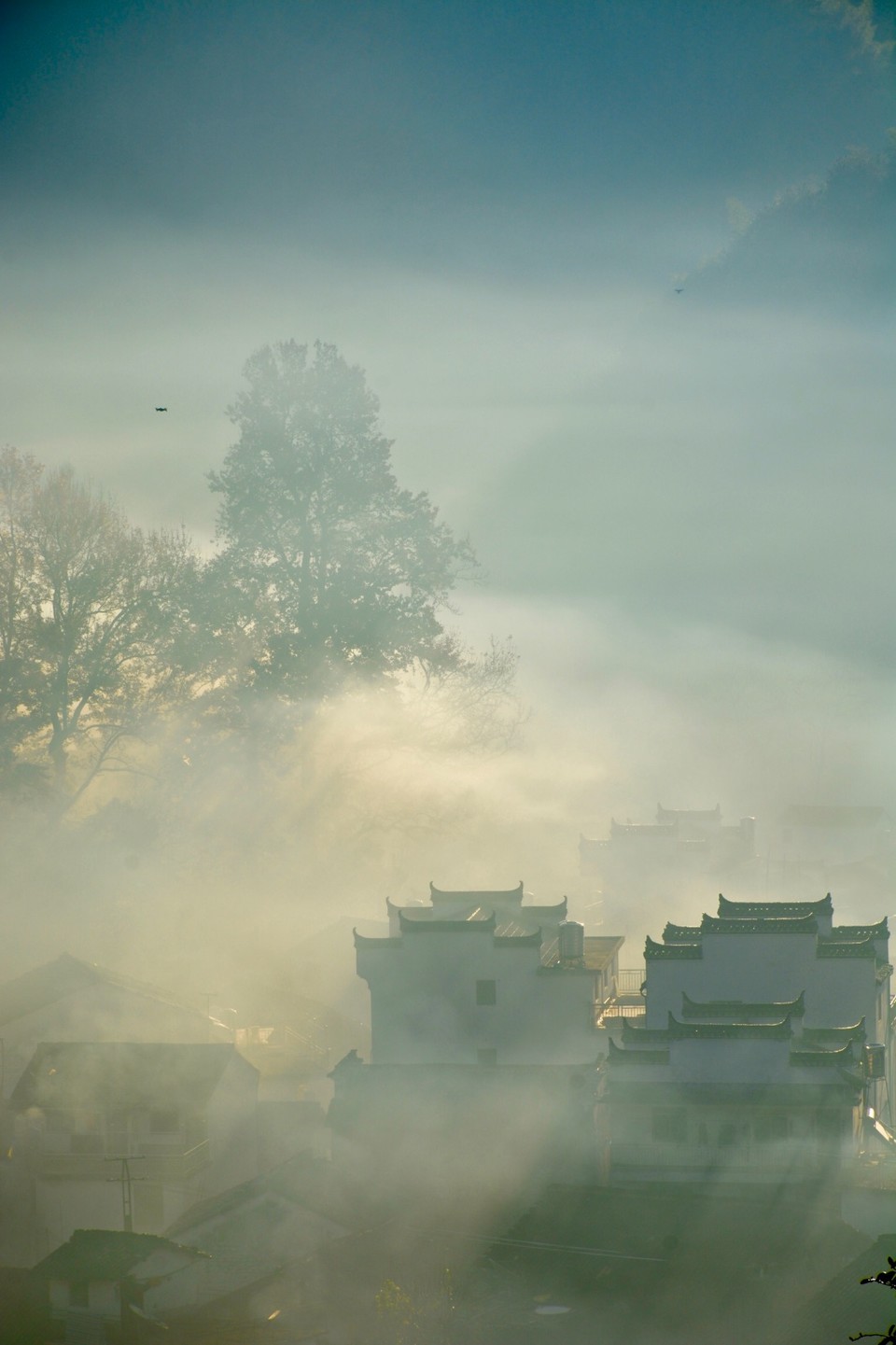 AACE2F52-5E8C-4331-B370-1B222870893F