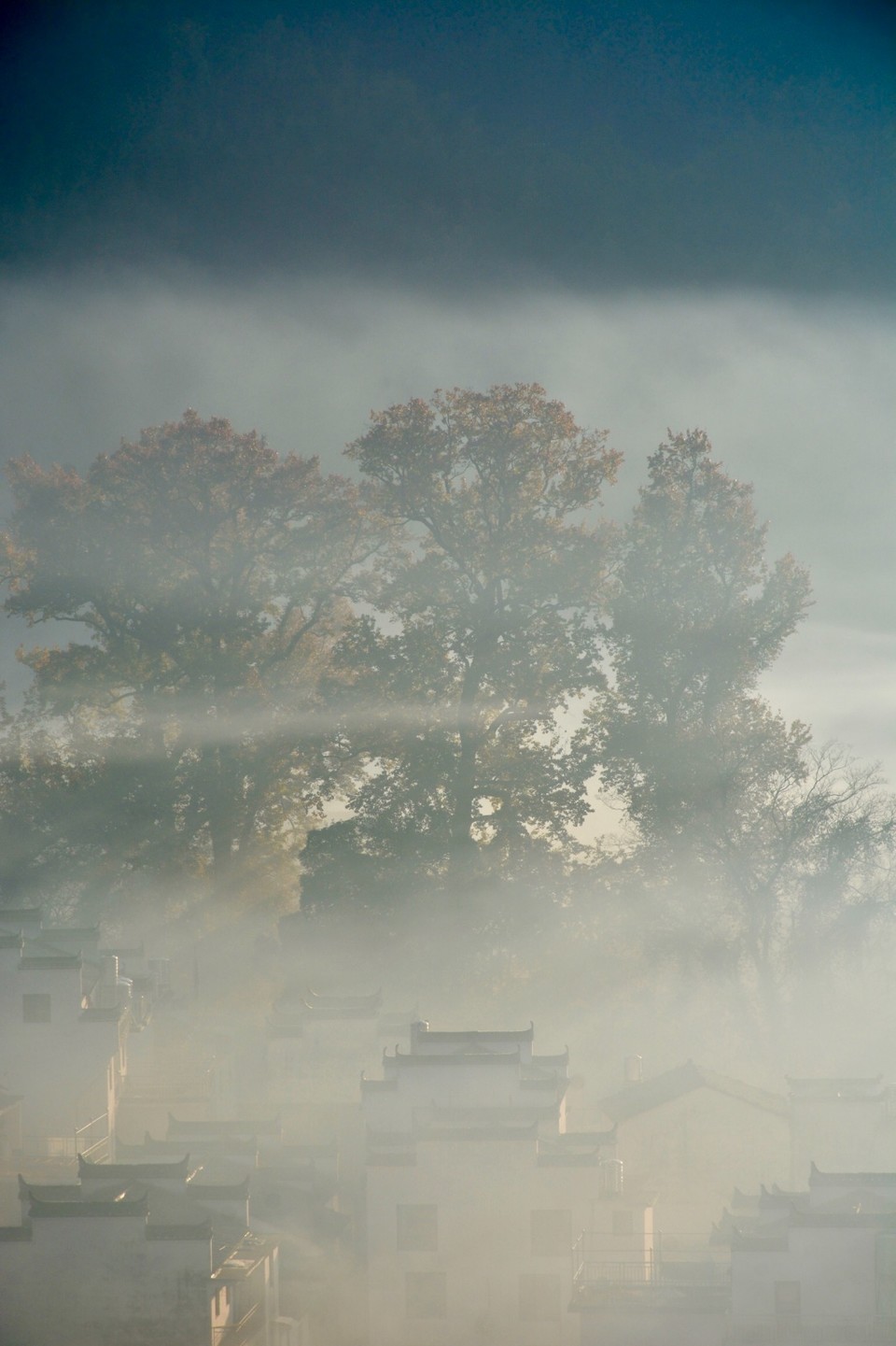 EA02C5D9-1FA6-4FAB-8B21-1D0C864F2B1D