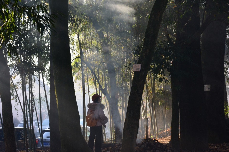 1B03BE2A-BC60-4E51-AA4C-C2F61C2F3F4C