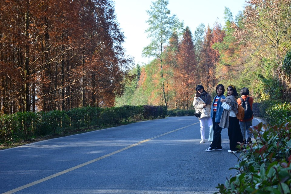 F0F6F311-8994-4CC0-AF47-5215FA3DDCA6