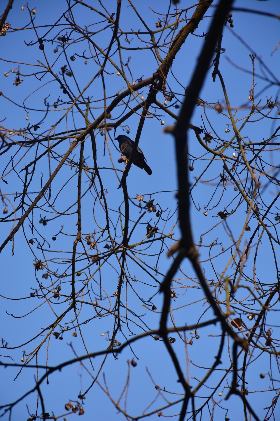 F68297ED-58F3-47D7-8EE0-0D1E1E014310