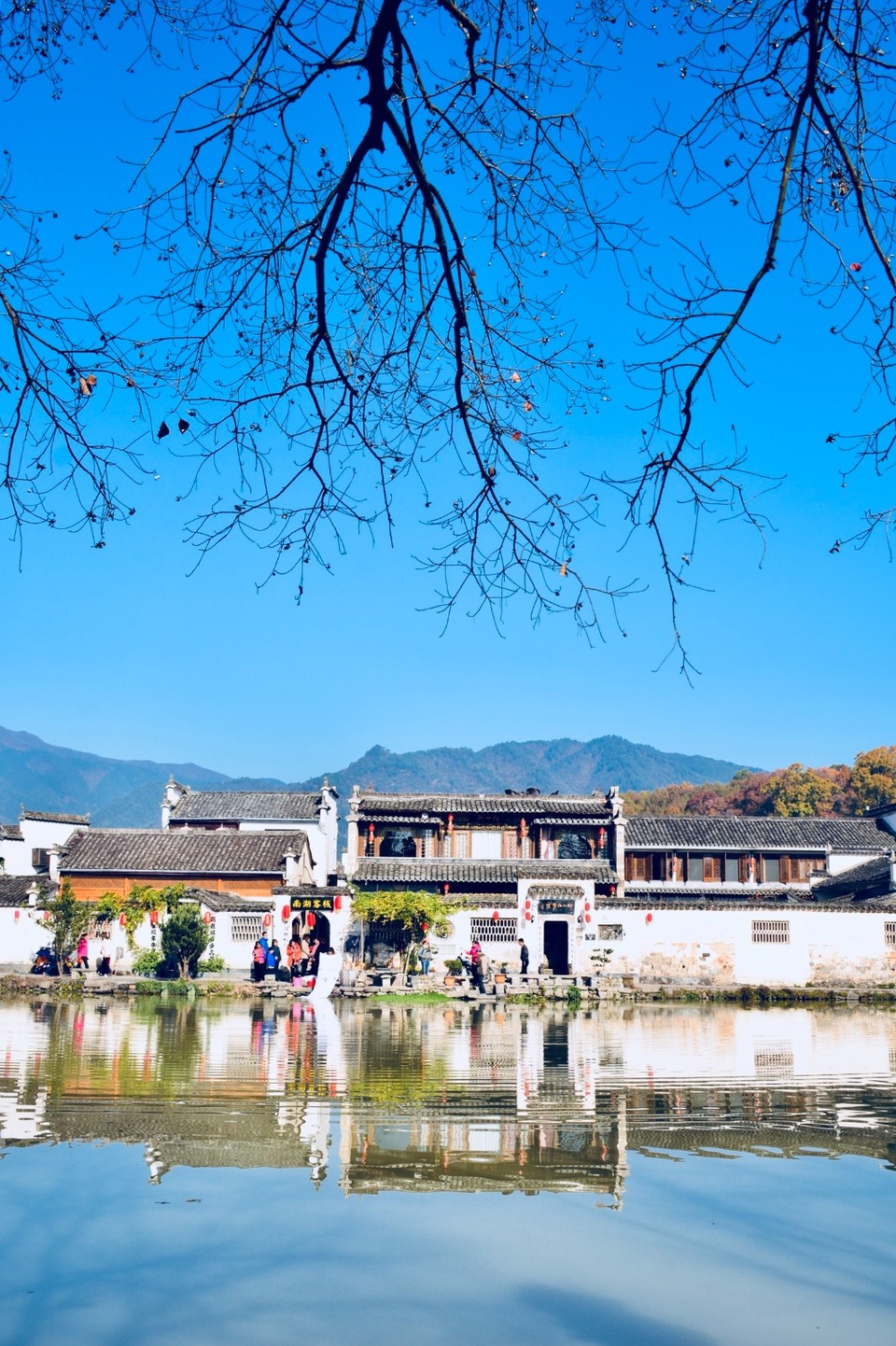 472361A3-20F8-4355-AE75-FFAA83F75A7A