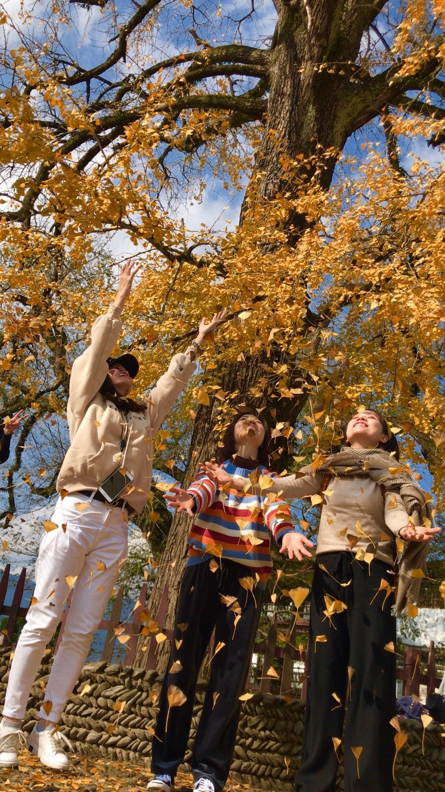 C903A77A-5C90-47A7-92EC-F48DD1F1D157