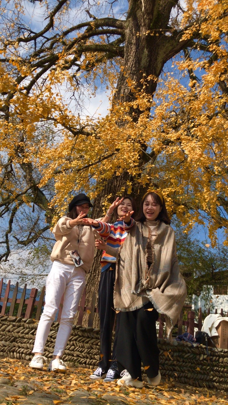 C68B7611-60D0-45D2-AEEE-58706DFD0DB4