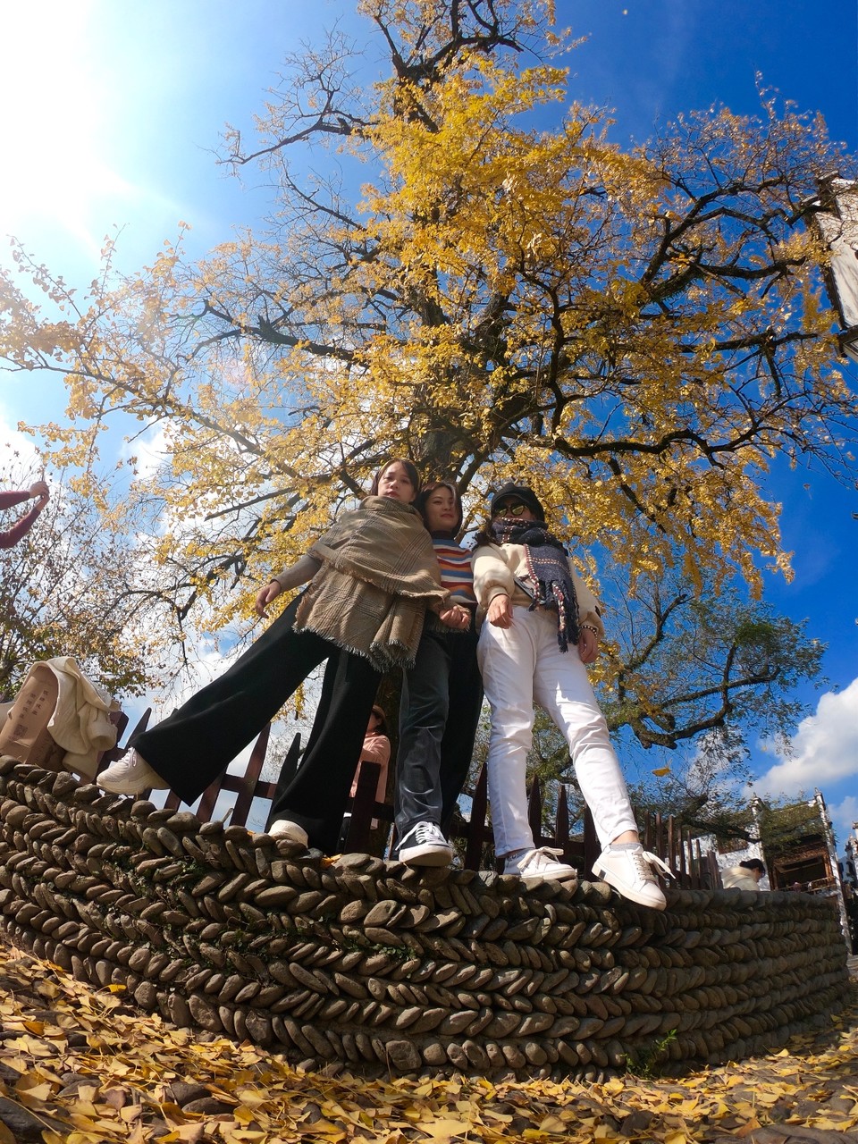 1DD1F9F9-CF7D-462A-B88E-6CA90FF97AAE