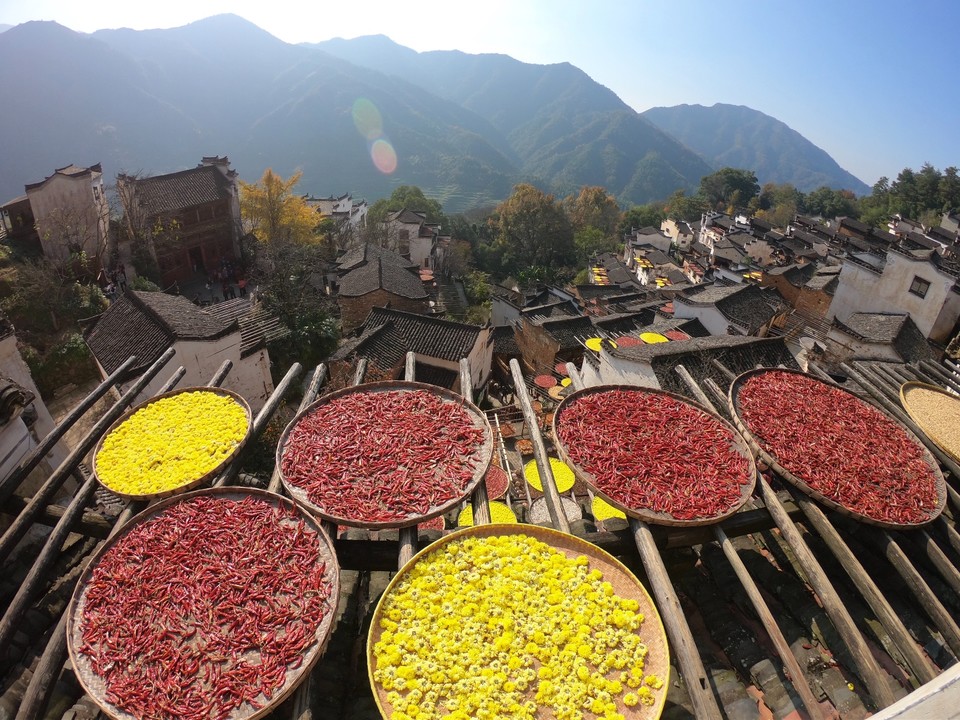 A7B91EDF-D498-4F37-A5E6-D21C4391A5CF