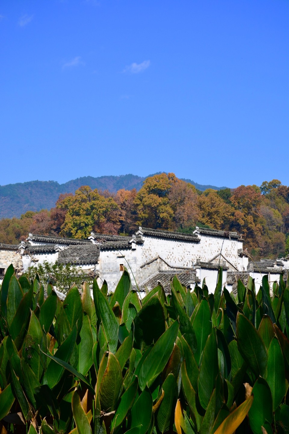 28F27F3E-9BF6-4AA4-9D20-9440A3C4DC0C