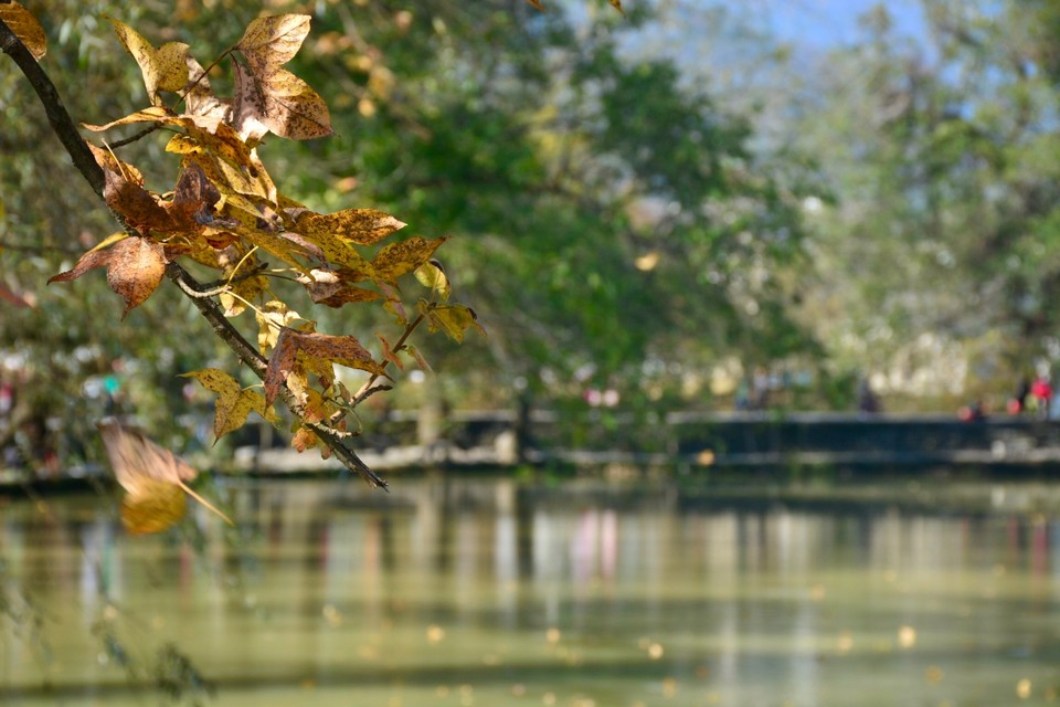 7A10F58C-63AF-43D3-B293-93D8416817A4