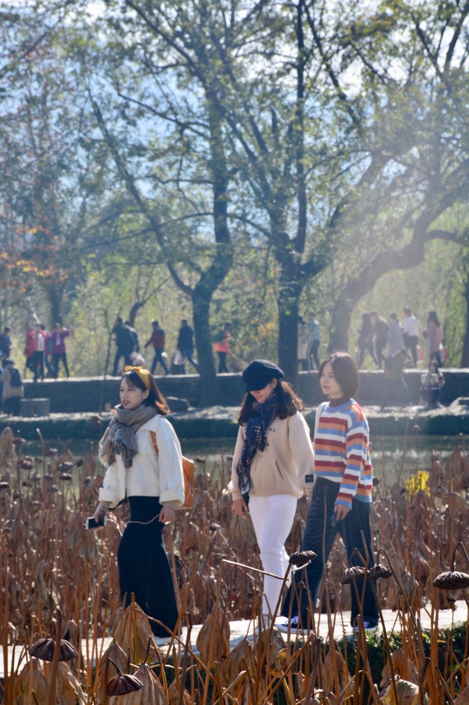 B1E976F5-B31F-4525-A512-4261CA4A6FFF