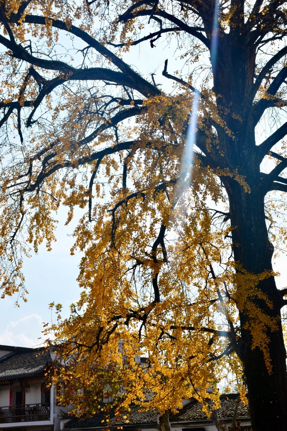 62F8E5BF-3B46-4DF5-B0D7-956458B3B29C