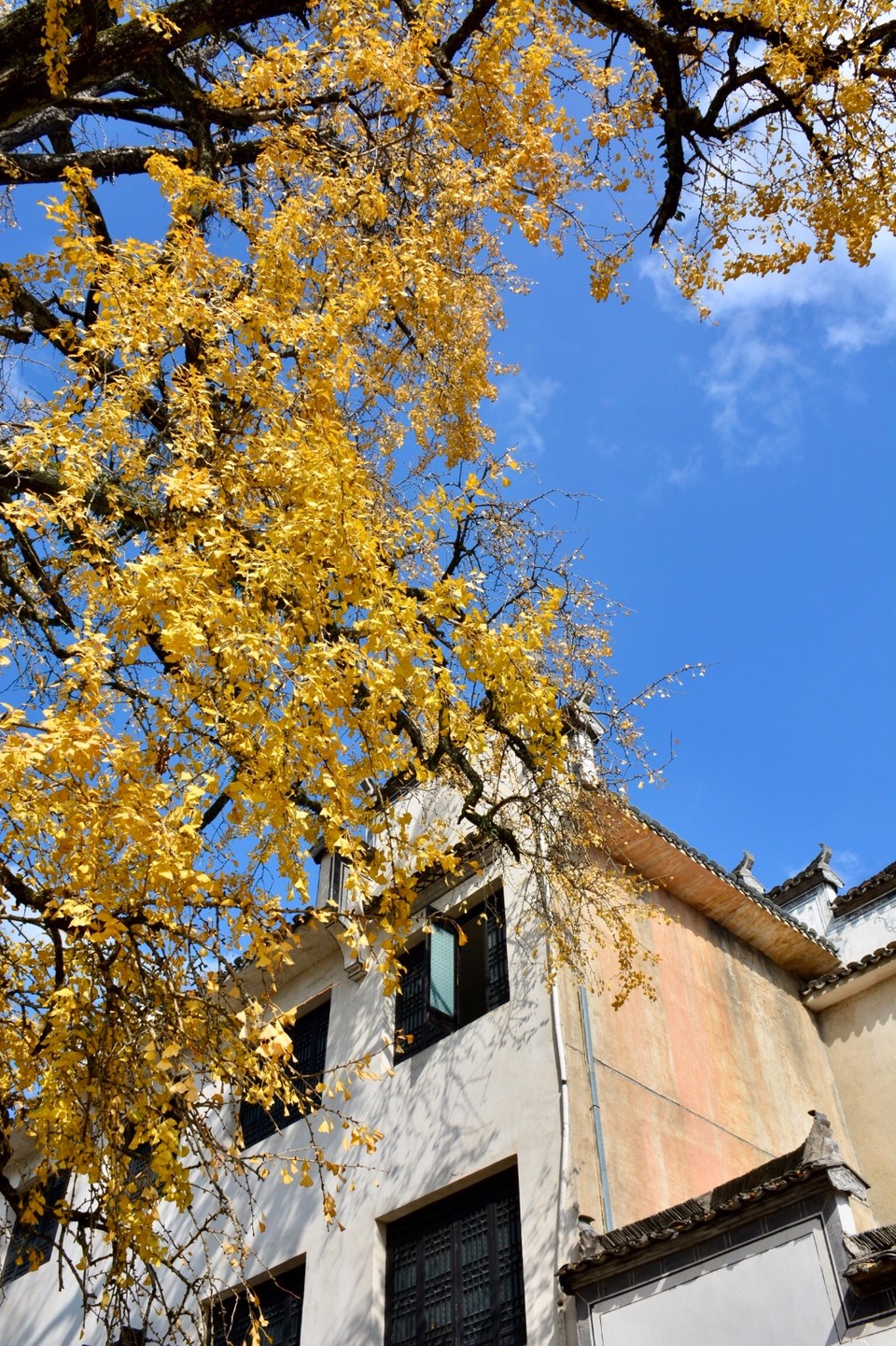 4B5C7D01-C0FF-4907-BF58-48D648430193