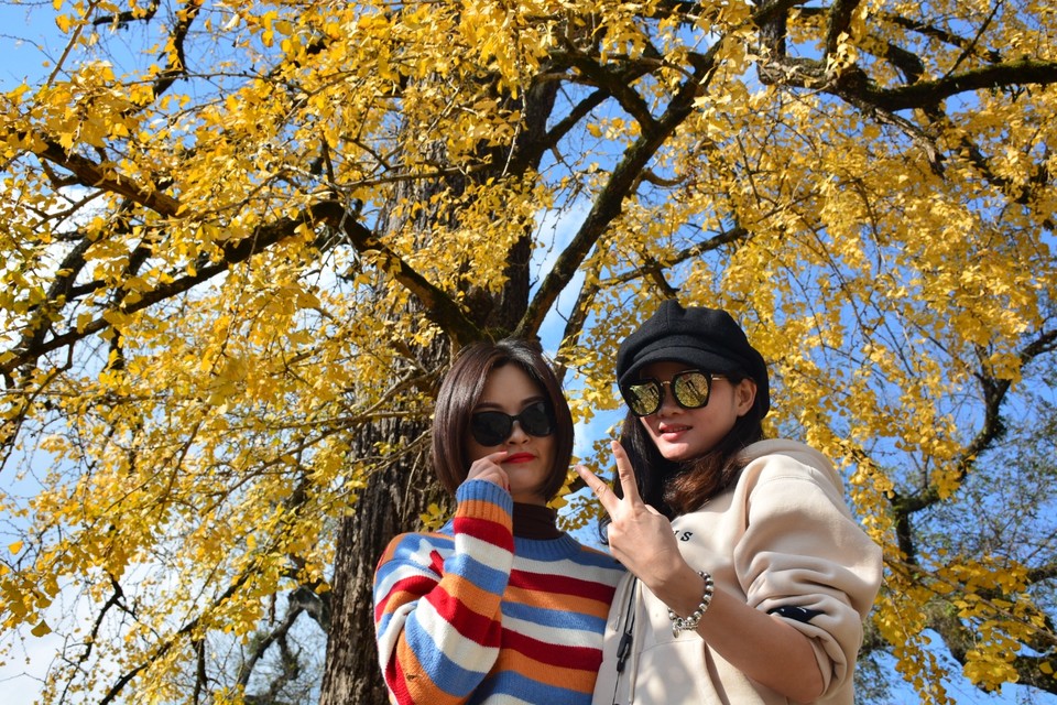 61374193-6980-4579-805E-A2F034BADD99