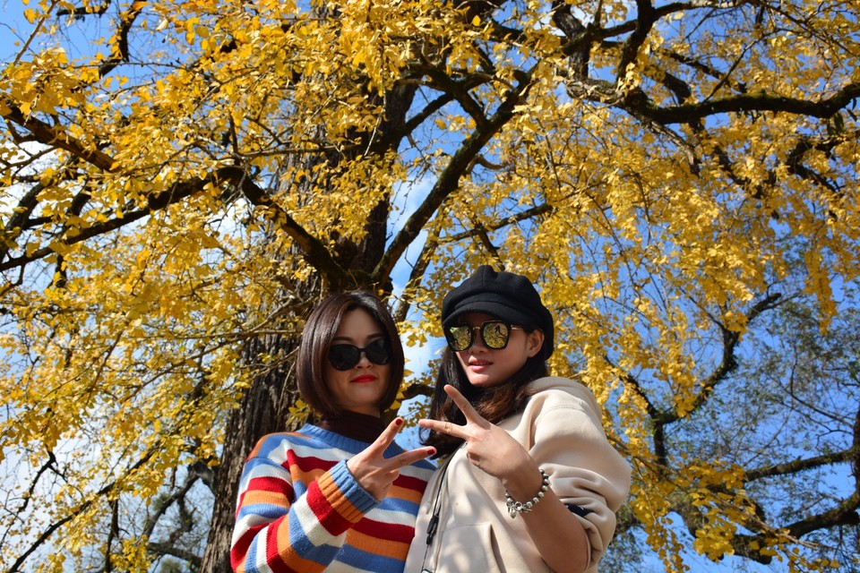 0BD1D09E-F1D7-4A39-A978-5BBFC6E59F9C