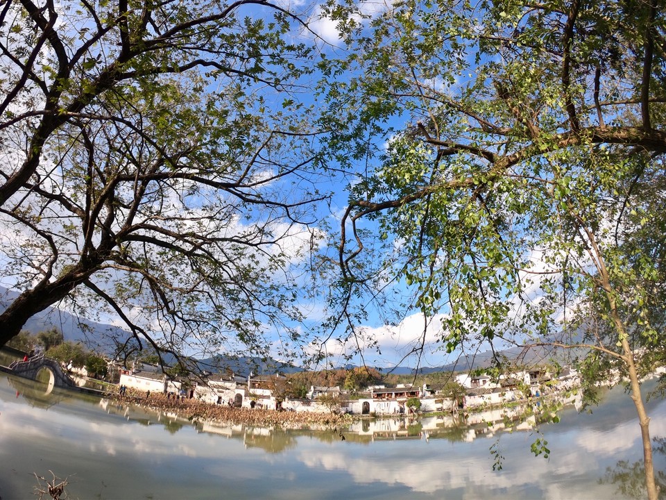 B4A50638-395E-4567-A2C8-859C0CDEE101