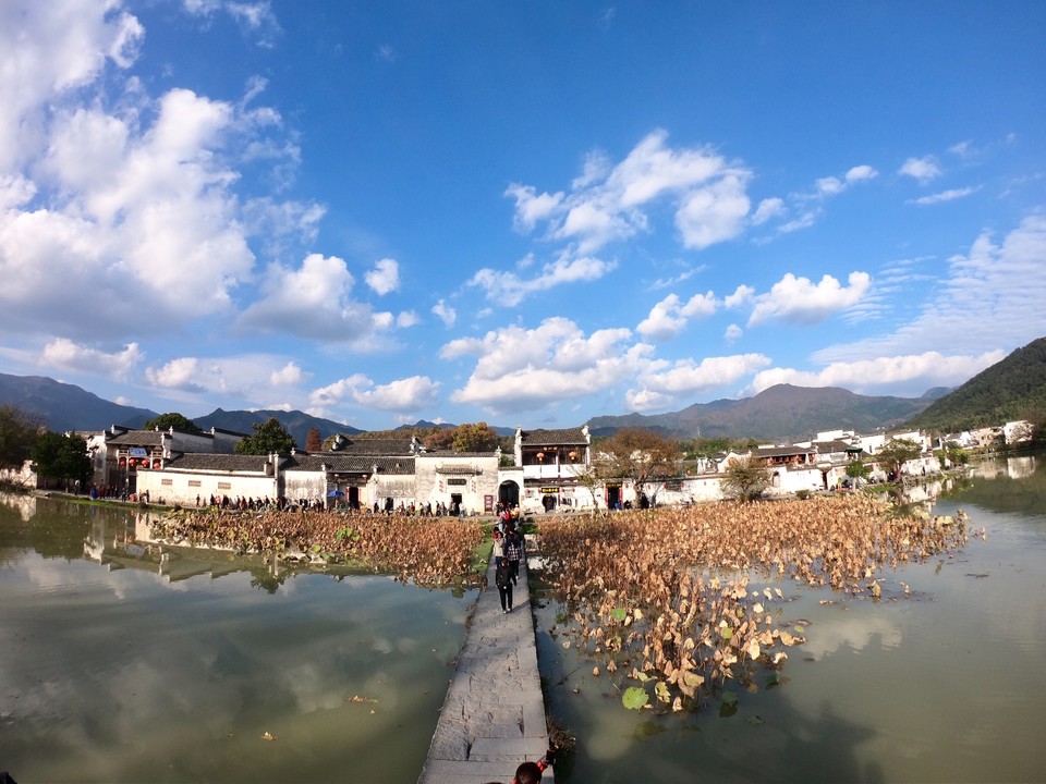 A707A548-9E47-4CAF-B36C-DACB9D4D12DE