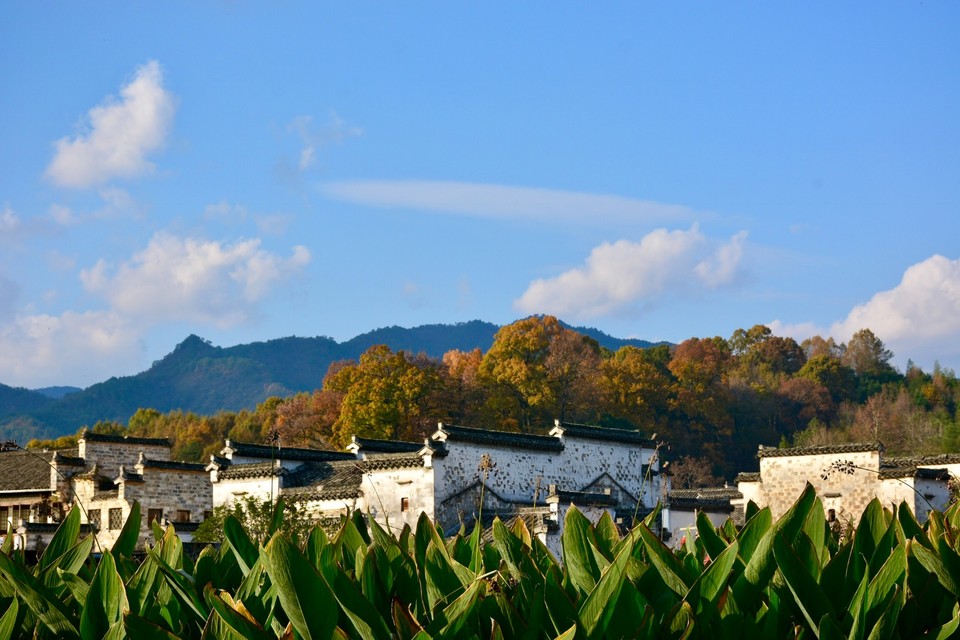 0D0ADA57-8163-452A-9317-3913F291CD67