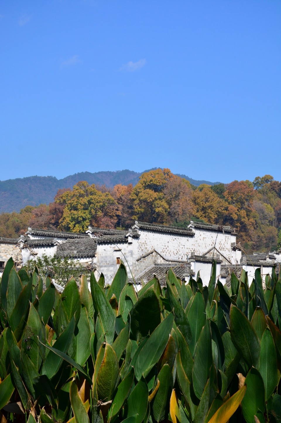 65019F32-0A38-4D01-803A-6B7232C3C0BB