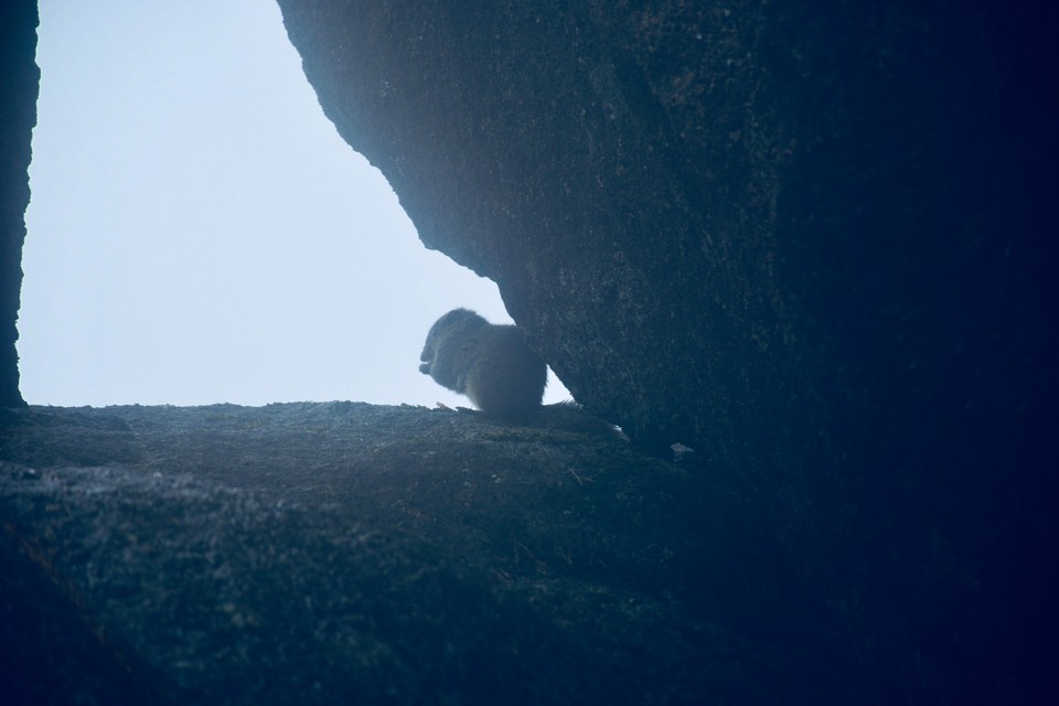 5A7D44EA-A8A5-459F-BC3E-EFA975C319F7