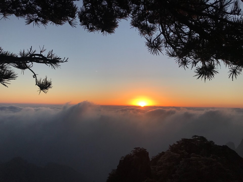 A0165B85-7753-4748-BCEB-190279979E93