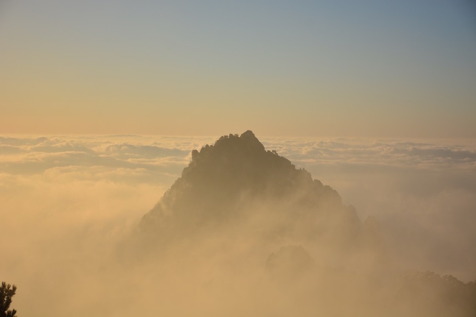 9AF50869-376A-4CAE-9417-E916FAF69933