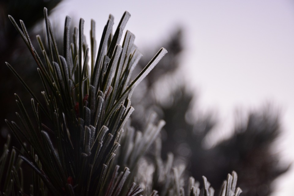 9FEC69E9-0160-4ED4-9A3F-33D249C70289