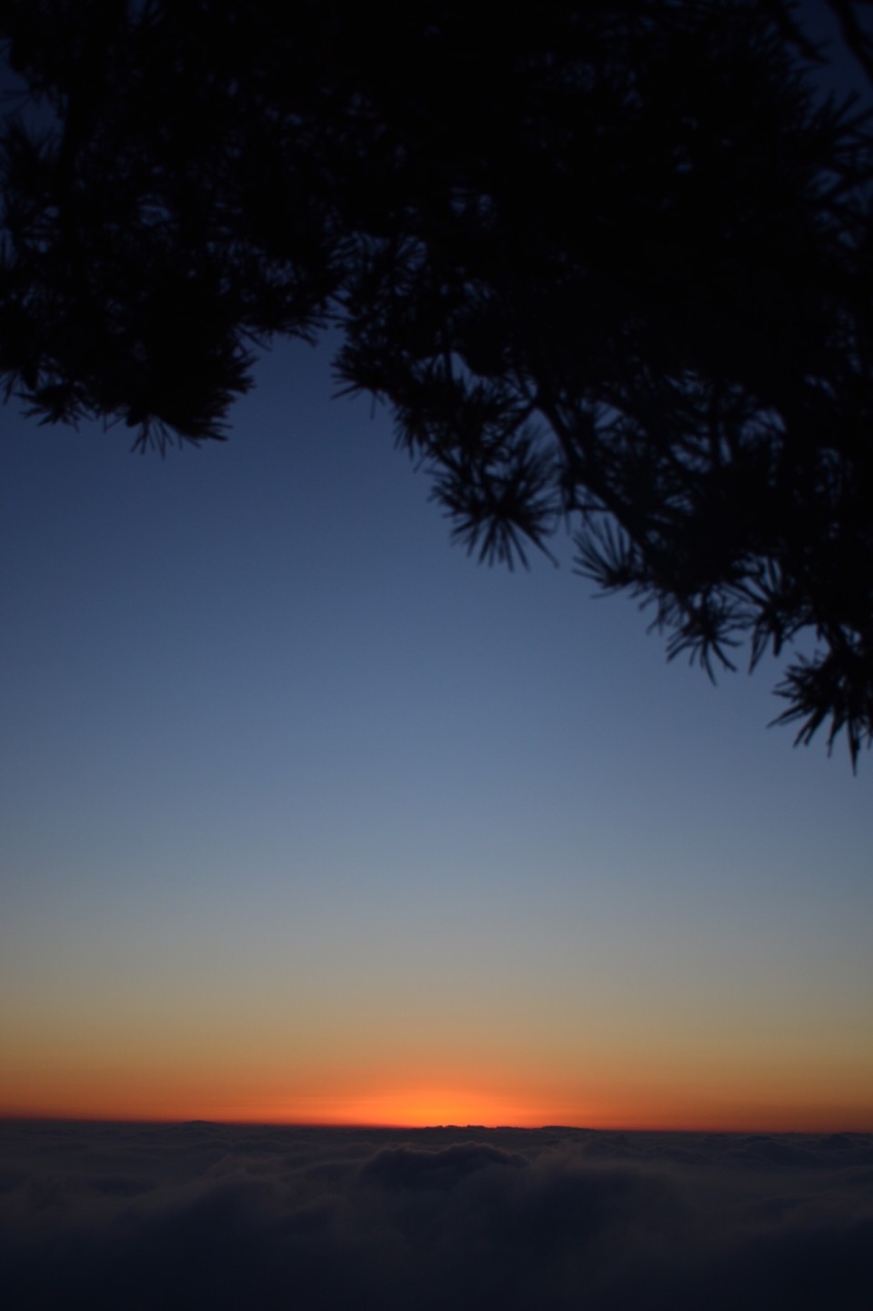 9D185E78-1ACB-4398-8F12-1918FE25F10E