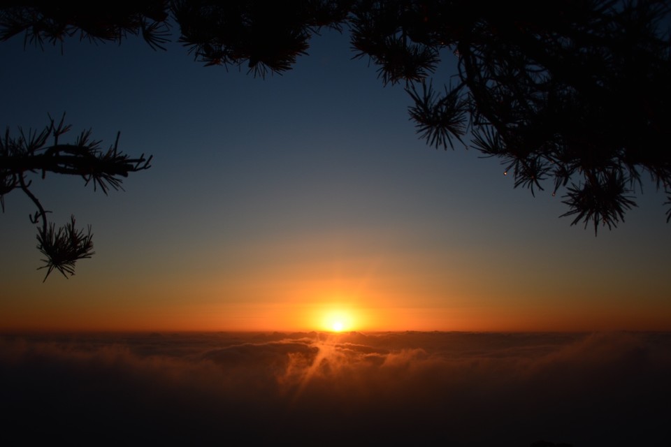 C10290AC-FEB7-4817-86AD-FF8B67578A9A