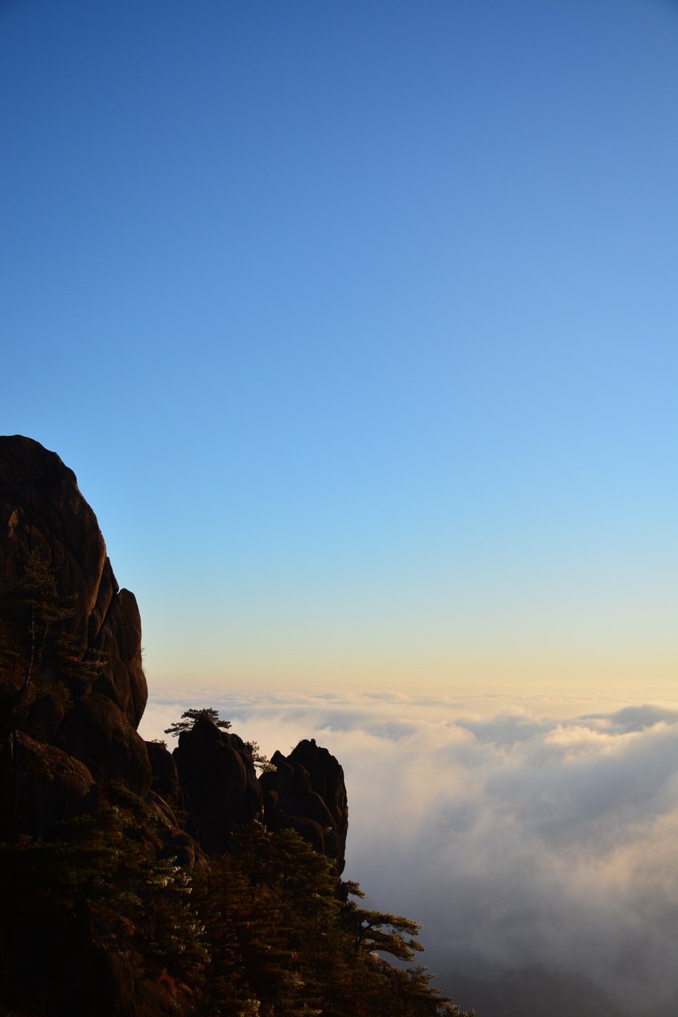 98CAEBB8-0377-424A-B93B-96E0FC36271E