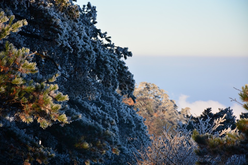 9A9C72AF-F6F6-4F93-945F-9B60E18B7624