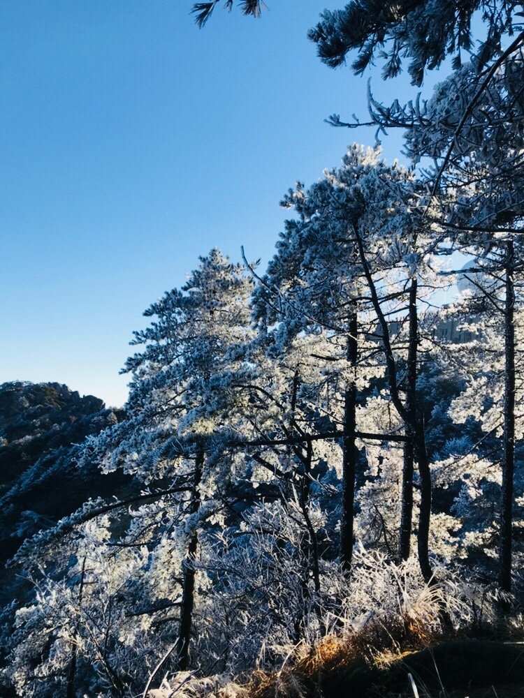 4EC8A983-94A1-4E75-A904-3E42ABFBB180